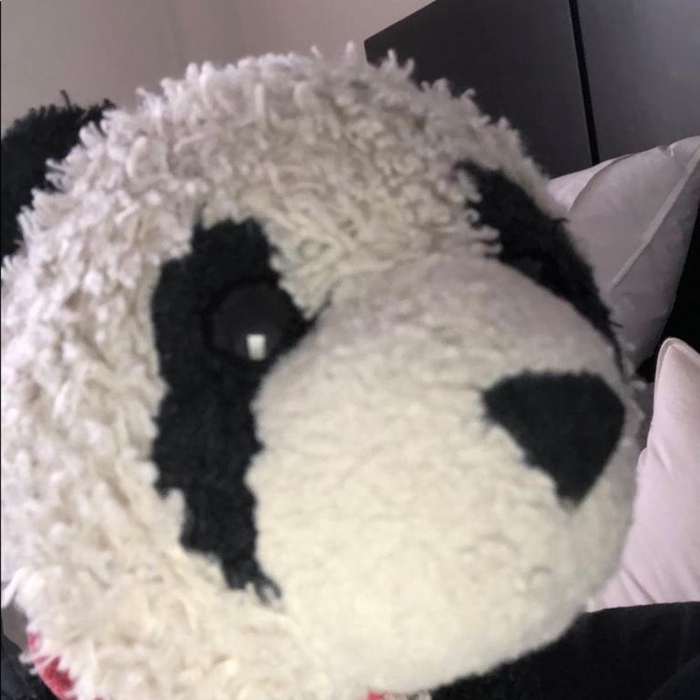 Meet your Posher, Neil